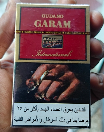 Gudang Garam